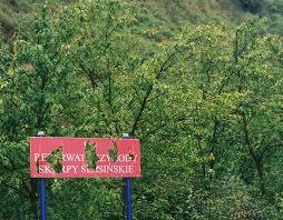 Rezerwat przyrody Skarpy Ślesińskie